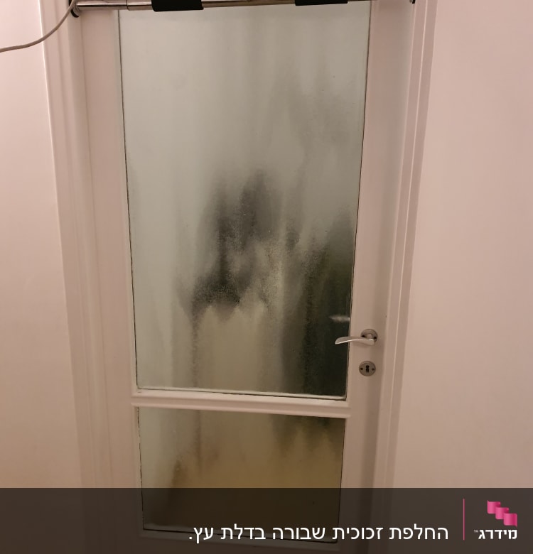 דלת זכוכית חלבית עם ידית מתכת